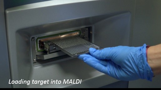 maldi 2