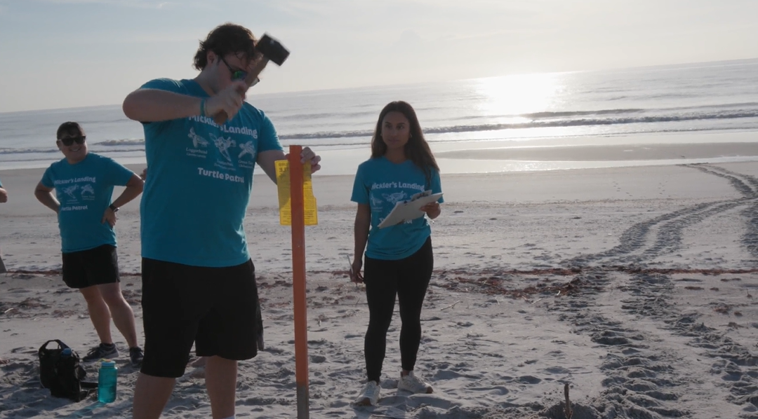 Students volunteering on the beach